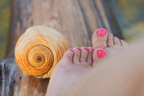 piedi di donna e una conchiglia al mare in italia