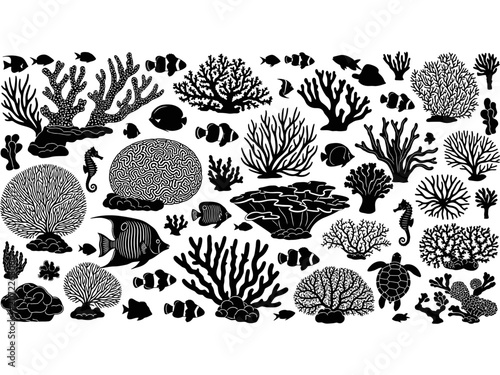 Coral Reef Marine Life Pattern Design