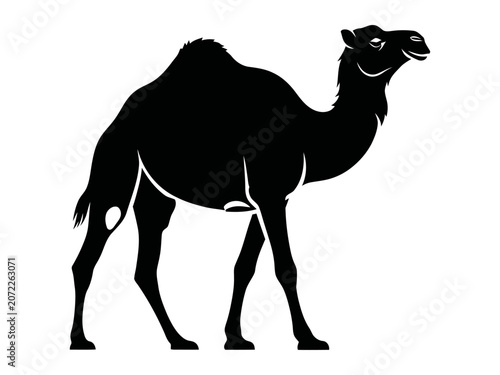 Minimal Camel Silhouette Vector Illustration