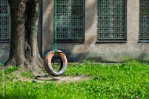 Old tire swing hanging from a tree in an overgrown urban courtyard
