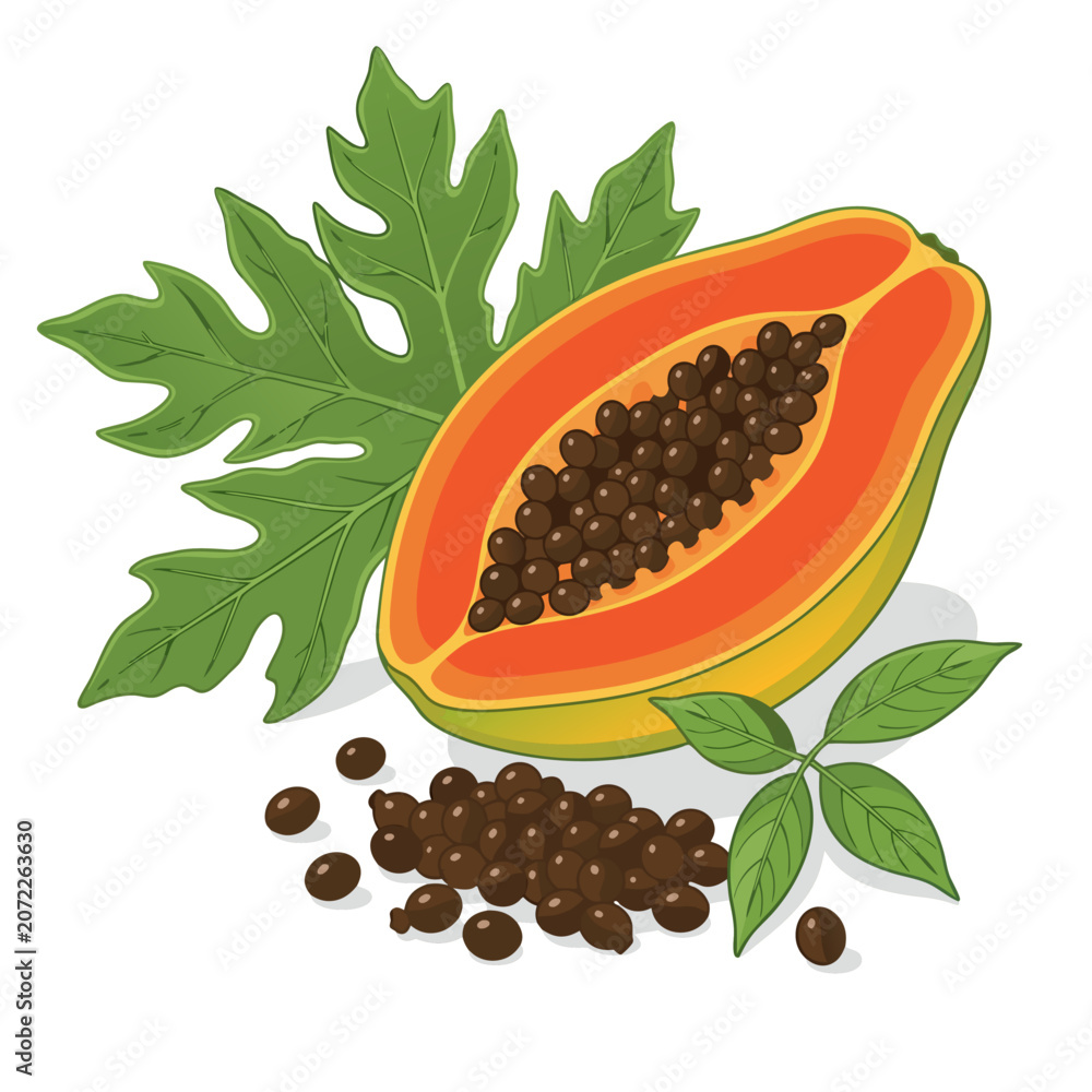 Fototapeta premium Papaya with the seeds and leaf