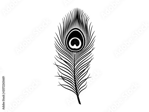 Minimalist Peacock Feather Outline Vector