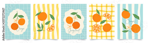 Obraz na plátně Set of citrus fruits summer poster