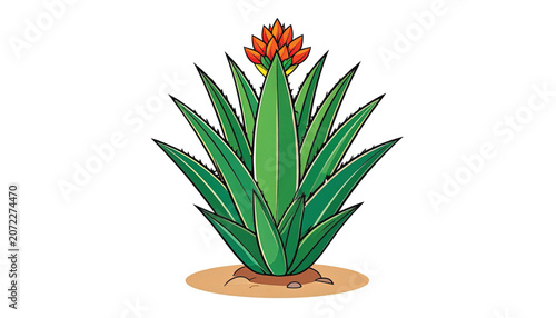 Aloe Vera Plant with Red Flower.