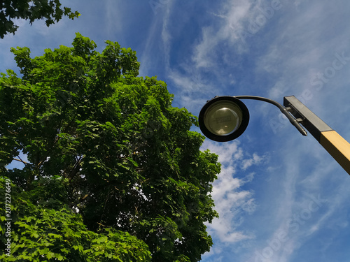 Modern bubble street lamp rises against a beautiful clear calm blue cloudy sky and green leaves of trees. Nature portrait in different angles in the park city street