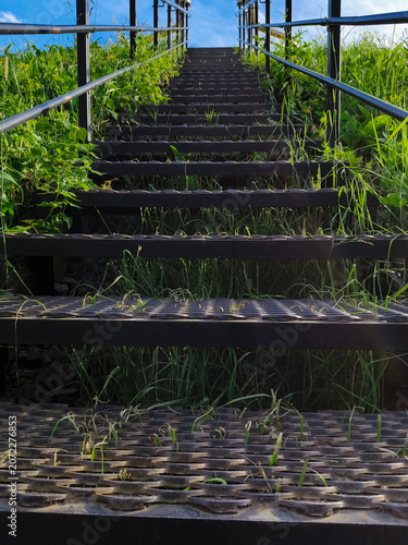 Metal texture stairs ascend a grass hill under to beautiful blue clear sky with warm sun. Nature concept way raise to up, success, elevation, freedom achievement with top ambition. Summer day