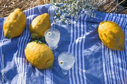 Lemons and small glasses on blue striped cloth with white flower