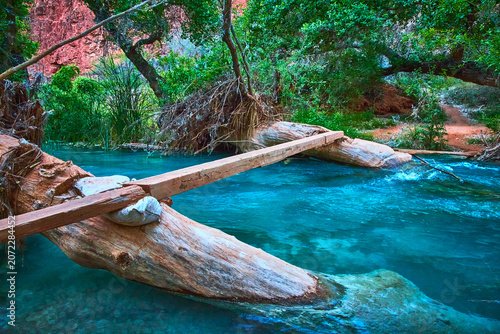 Slika na platnu Rustic Wooden Bridge Over Blue Stream in Lush Canyon Forest Near Supai Arizona