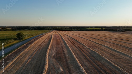 Billede på lærred Drone view of harvested wheat fields at sunset near Baracs