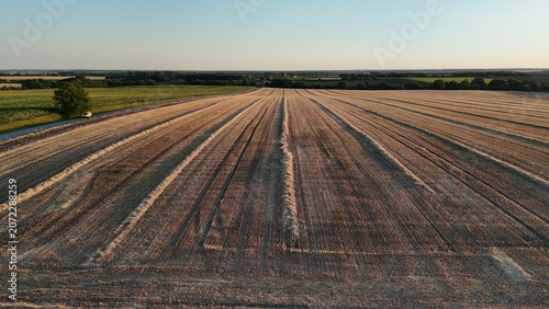Vászonkép Drone view of harvested wheat fields at sunset near Baracs