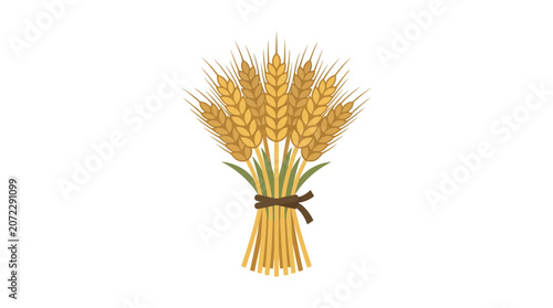 Harvested golden wheat ears bundle tied with brown ribbon isolated on white