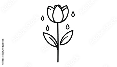 Black line drawing of a tulip.