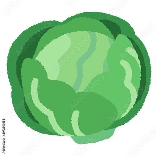 Принти на полотні Cabbage flat illustration, round cabbage brassica oleracea green head cabbage cl