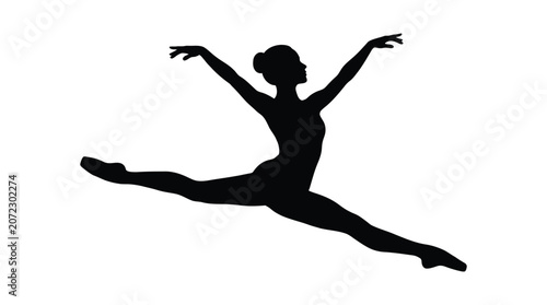 Photography Ballerina Silhouette Against White Background Dynamic Dance Pose