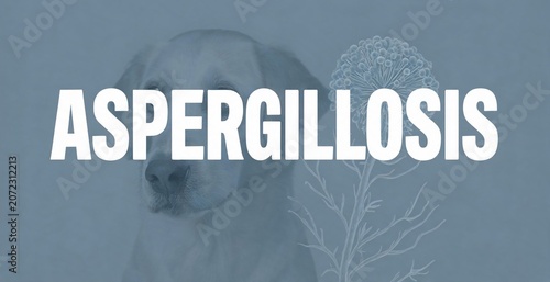 Aspergillosis, a fungal disease affecting dogs, is visually represented with a distressed canine subject and symbolic imagery of mold growth.