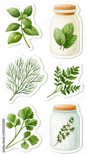 Herbs and jars: basil, dill, parsley, and thyme watercolor stickers