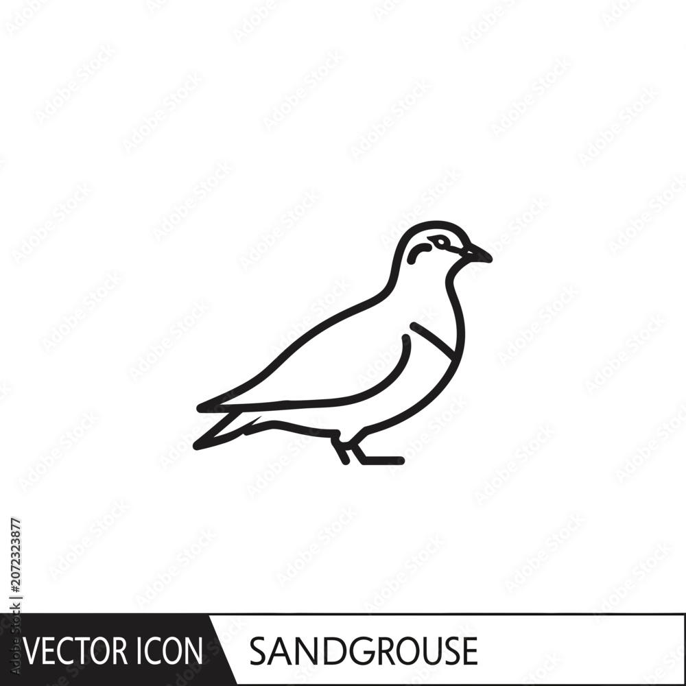 Fototapeta premium Sandgrouse Bird Vector Icon. Outline Silhouette of a Wild Bird.