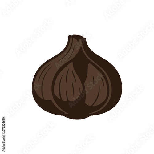 Fermented Black Garlic Bulb Isolated on White Background, Healthy Food Ingredient