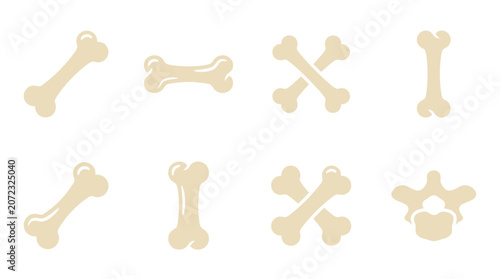 Foto Collection of assorted bone shapes and skeletal remains.