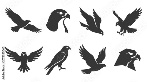 Quadro su tela Black hawk and falcon silhouette graphic collection