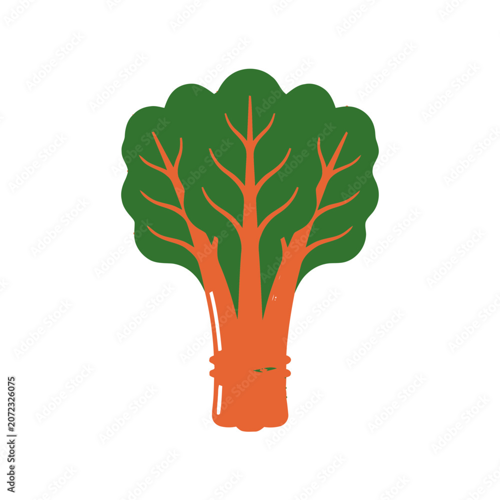 Fototapeta premium Vibrant Rainbow Chard Leafy Vegetable Bunch Isolated on White Background