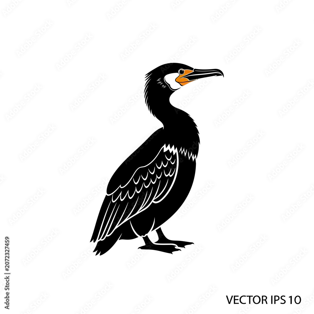 Fototapeta premium Stylized Black Cormorant Bird Illustration Vector