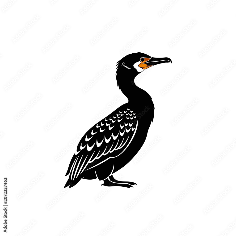 Fototapeta premium Stylized Black Cormorant Bird Illustration