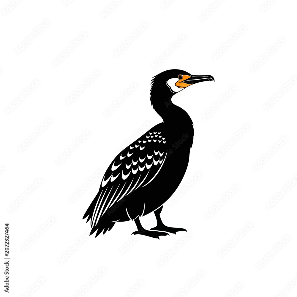 Fototapeta premium Stylized Black Cormorant Bird Illustration, Isolated on White Background