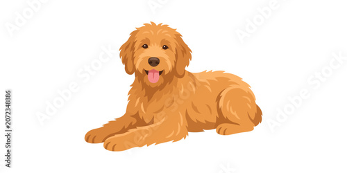 Cute cartoon golden doodle dog lying down illustration for pet lovers and animal enthusiasts