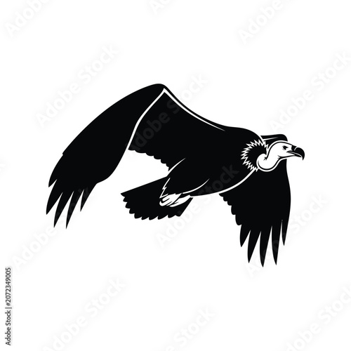 Black silhouette of a vulture in flight.