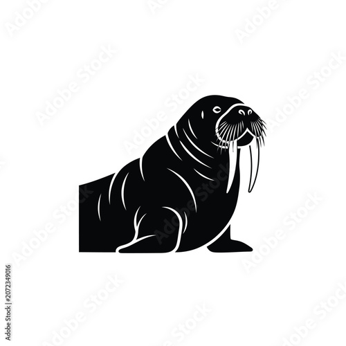 Black and White Walrus Illustration.