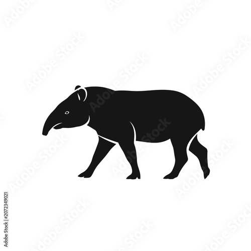 Silhouette of a Tapir walking.