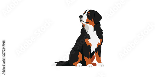 Fotografie Bernese Mountain Dog Sitting Illustration for Pet Lovers and Advertisers