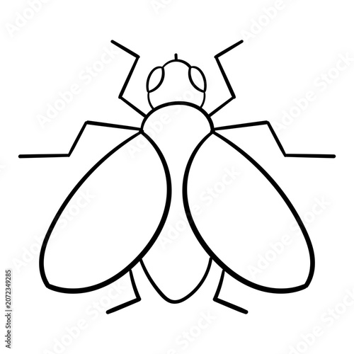 Fly