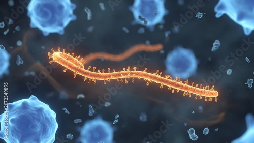 3D Scientific Visualization of an Ebola Filovirus Filament Moving Through a Biological Fluid Environment Surrounded by Microscopic Viral Particles