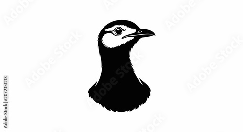 Barnacle Goose Head Silhouette, Vector Illustration, Isolated on White