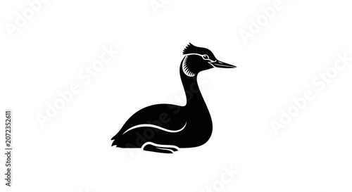 Tableau sur toile Black Silhouette of a Great Crested Grebe Bird Sitting on White Background