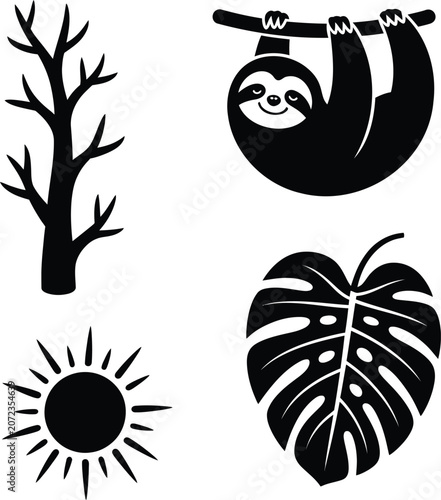 Sloth on branch tree sun monstera leaf for nature and relaxation.