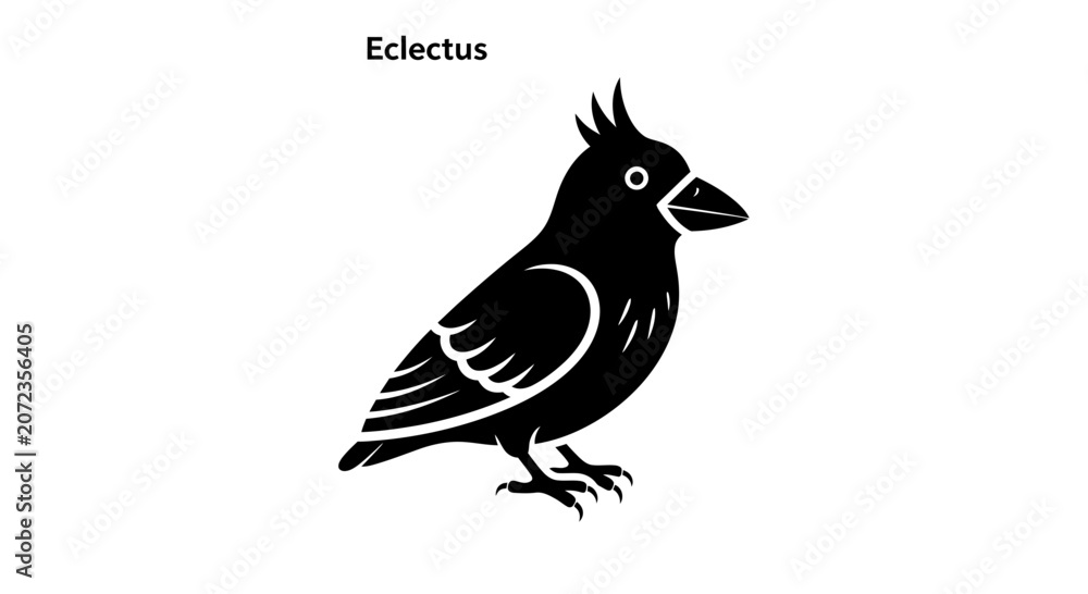 Fototapeta premium Eclectus Parrot Silhouette, Black and White Vector Art