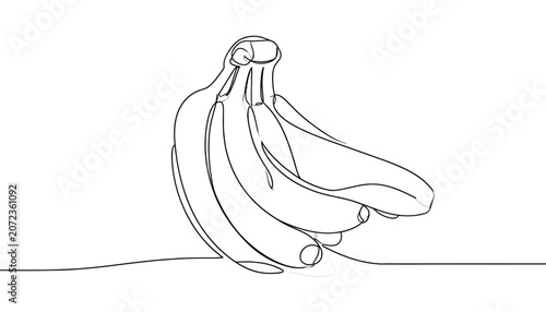 Obraz na płótnie Minimalist continuous line bunch of bananas sketch