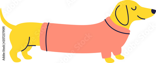 Cute yellow dachshund dog in a pink sweater illustration, sausage dog vector isolated on white