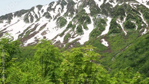 初夏の観光名所立山黒部アルペンルートの立山ロープウェイの様子と山の残雪と新緑の風景