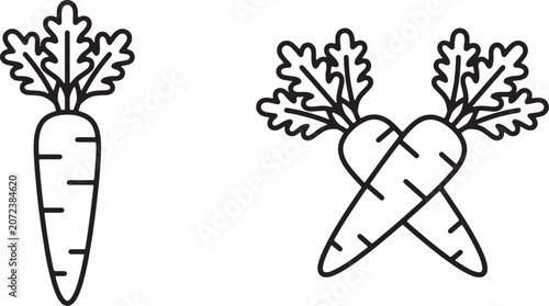 Bild auf Leinwand Art & Illustration, Crisp line illustrations showing a single root carrot with leafy tops and a crossed pair layout