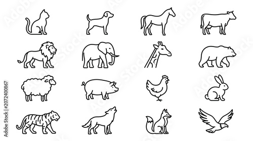 Canvas Print Collection of various animal line drawings.