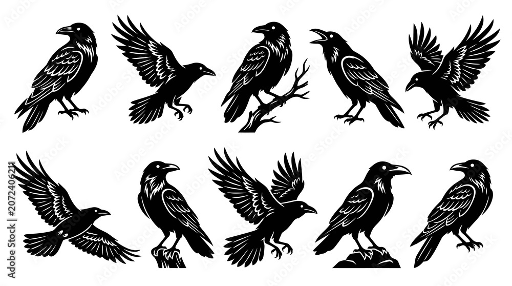 Fototapeta premium Black Raven Silhouettes Set, Flying and Perching Birds, Vector Graphics