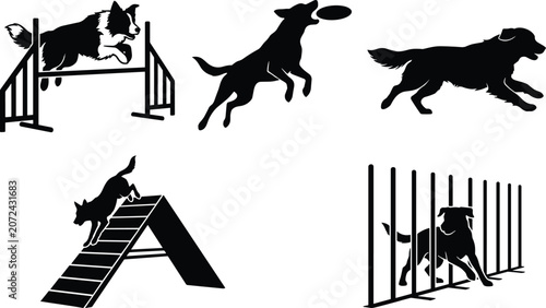 Bild auf Leinwand Dog agility and training silhouette set with pets jumping running catching discs