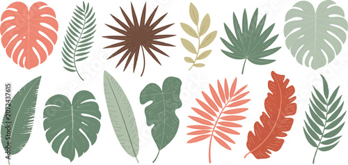 Collection of tropical palm leaves and exotic jungle foliage in earthy colors for summer themes and modern interior decor projects.