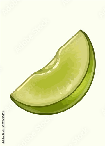 Green Grapes and Fruit Slice Cross Sections Botanical Illustration Collection on White Background