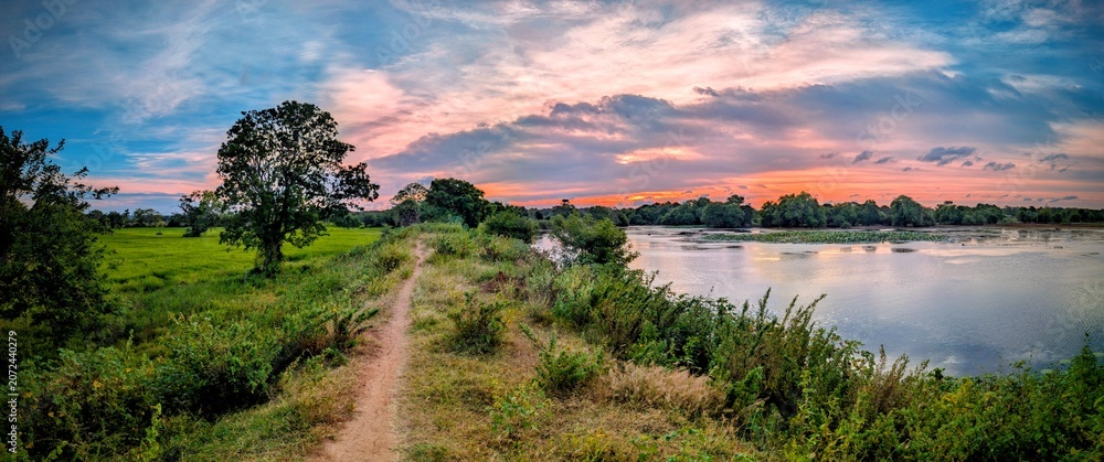 Fototapeta premium sunset over lake in Sri Lanka , 100% natural environment 