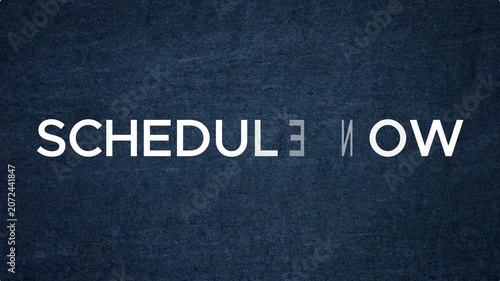 Schedule Your Appointment Today | Elegant Particle Text Animation 4K